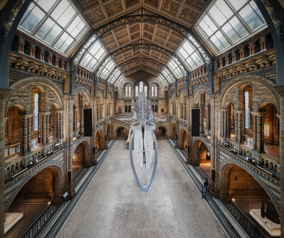 pictures of London - Natural History Museum