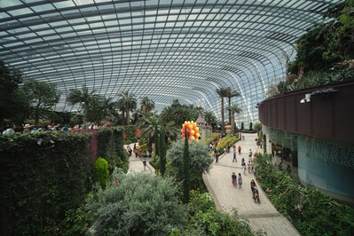 photography spots in Singapore - Flower Dome
