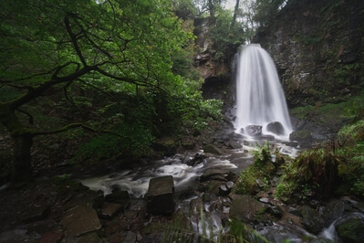 pictures of South Wales - Melincourt Falls