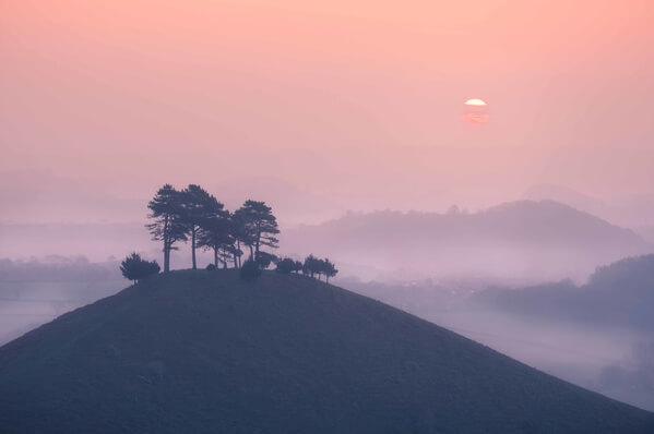 Colmers Hill, is at its best on misty mornings when the hill and those in the distance peak above the morning's blanket of mist.