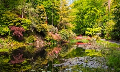 photo spots in Wales - Portmeirion Lakes