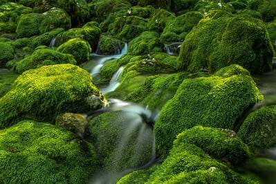 Soča River Valley photo spots - Glijun Stream