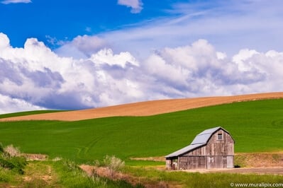 photo spots in United States - Parvin Road Grey Barn