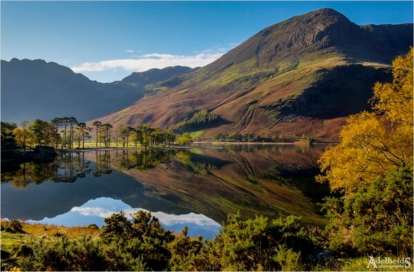 A classic view in the lake District is that of the lake and the pine trees on the shore.