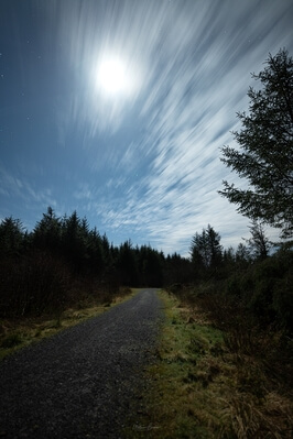 photos of South Wales - Brechfa Forest Walk