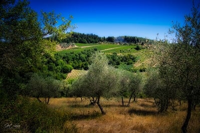 Provincia Di Siena instagram locations - Villa Cistarenni in Chianti