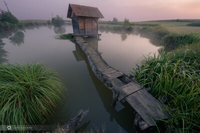 Slovenia instagram spots - Griblje Fish Pond