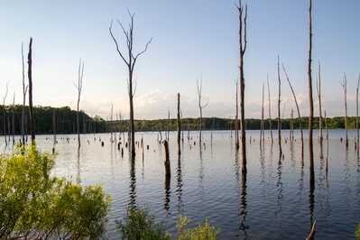 photo locations in New Jersey - Manasquan Reservoir