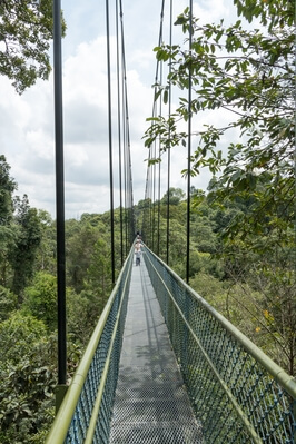 images of Singapore - MacRitchie Trails