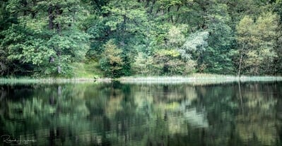 photography locations in England - Yew Tree tarn