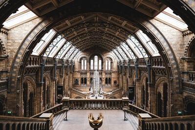 photos of London - Natural History Museum