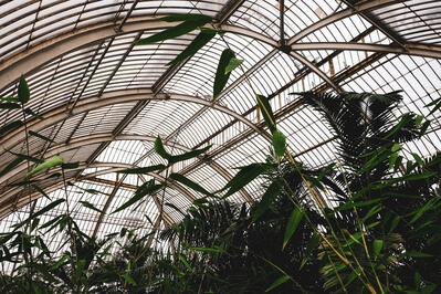 photos of London - Royal Botanic Gardens Kew