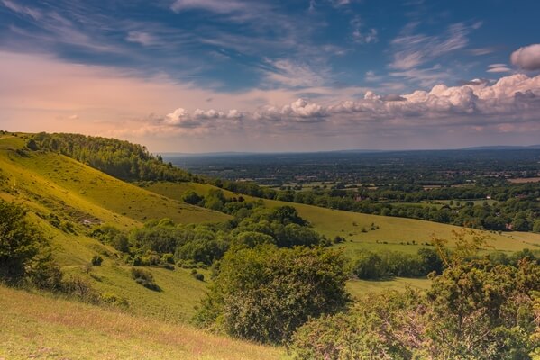 Ditchling Beacon (north side)