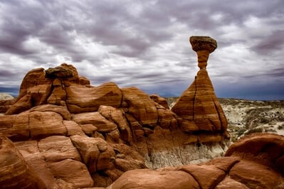 images of Coyote Buttes North & The Wave - Toadstool Hoodoo
