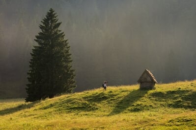 instagram spots in Slovenia - Planina Blato (Mountain Pasture Blato)