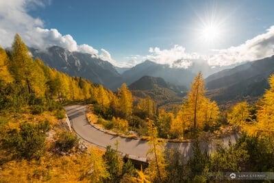 photography spots in Slovenia - Alpine Road & Larch Trees