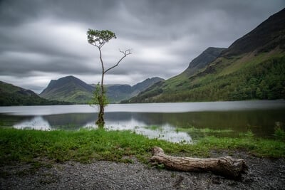 United Kingdom instagram spots - Buttermere lonely tree