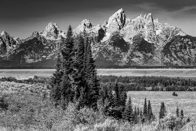 photography locations in Grand Teton National Park - Trees along Highway 89/191