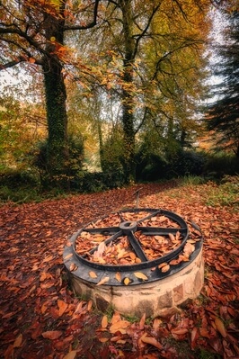 photo spots in Wales - Colby Woodland Garden