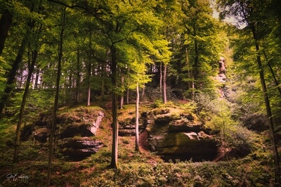 Luxembourg photo locations - Schelmelee & Rammelee Rock formations