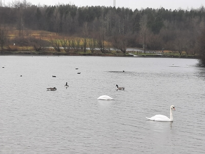 photos of South Wales - Parc Bryn Bach