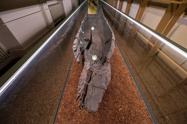 The dugout canoe from Ljubljana marshes