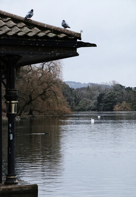 images of South Wales - Roath Park & Lake