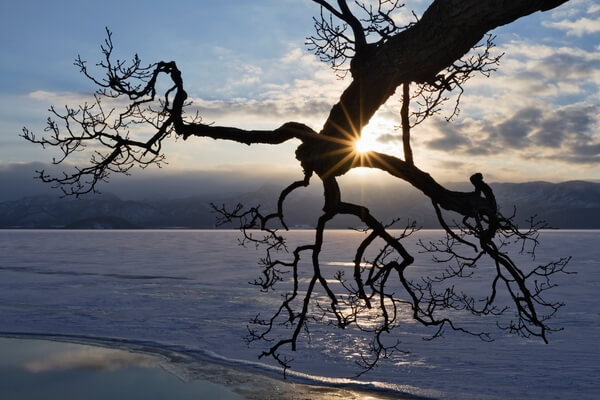 Sillhouetted branch on the edge of a Frozen Lake Kussharo