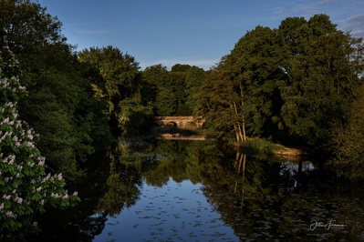 photography spots in United Kingdom - River Stour, Blandford Forum
