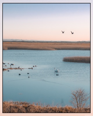 instagram spots in England - Farlington Marshes Nature Reserve