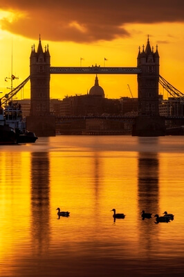 pictures of London - Tower Bridge from Bermondsey Wall