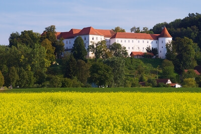 photo spots in Slovenia - View of Hrastovec Castle