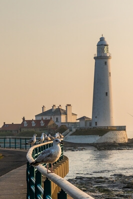 photos of Northumberland - St Mary's Lighthouse & Causeway
