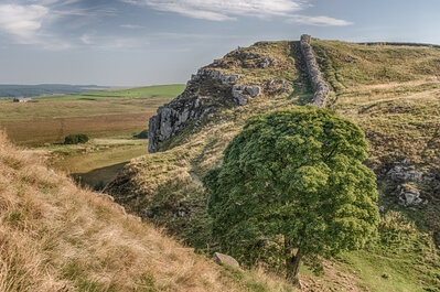 photos of Northumberland - Hadrian’s Wall - Sycamore Gap