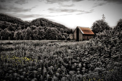 photography spots in United States - Rusty Roof Barn