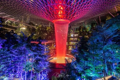 photography locations in Singapore - Rain Vortex, Changi Airport