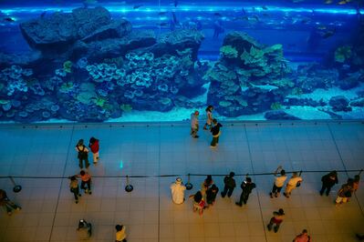 photos of Dubai - Dubai Aquarium