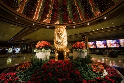 photography spots in United States - MGM Grand Casino