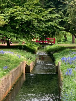 United Kingdom instagram spots - Coy Pond