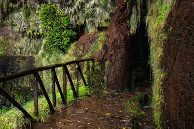 images of Madeira - Risco Waterfall
