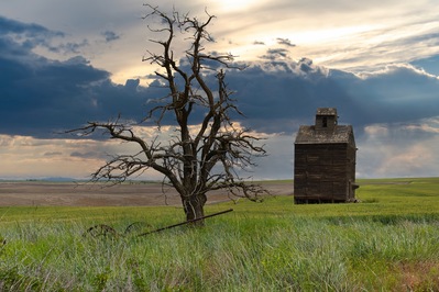 photography spots in United States - Old Barn Grant County, Washington