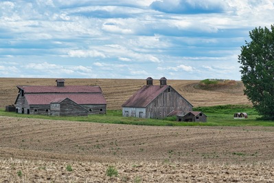Lincoln County photography spots - Weathered White Barns on Hanson Harbor Rd