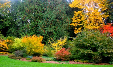 pictures of Seattle - Washington Park Arboretum