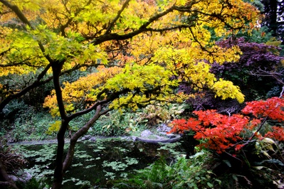 images of Seattle - Washington Park Arboretum