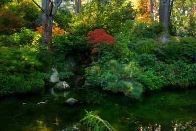 photos of Seattle - Kubota Garden