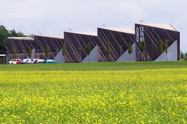 Expano pavilion and canola field in summer