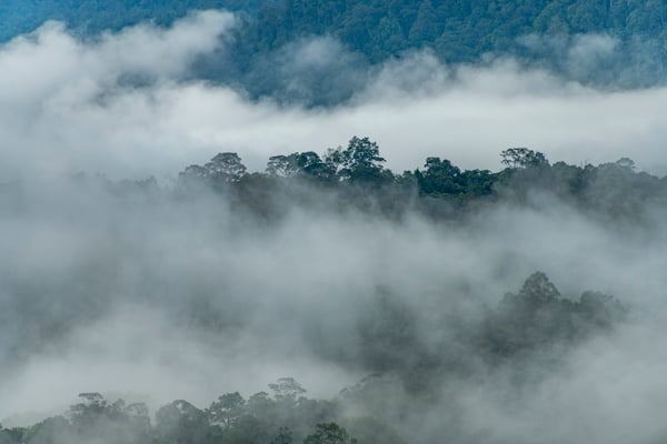 Fog-scape on top of mountain in Menangang Place, Sarawak, Malaysia