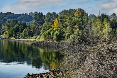 images of Seattle - Duwamish River Trail