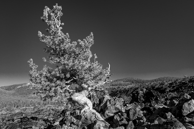 photography spots in United States - Big Obsidian Flow
