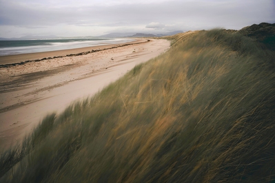 Wales photography locations - Dunes of Harlech